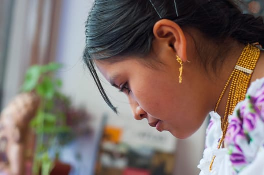 copyspace closeup of young indian woman in traditional dress in profile with gold necklace. High quality photo