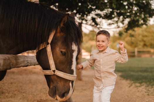 a little boy in the evening at the farm next to a horse.