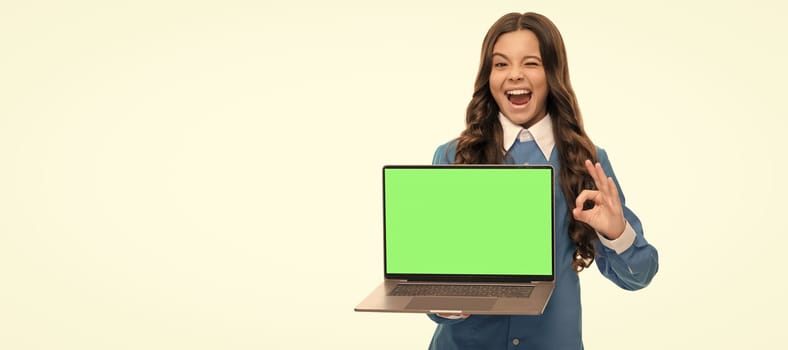 winking child long curly hair showing presentation on laptop screen isolated on white, ok.