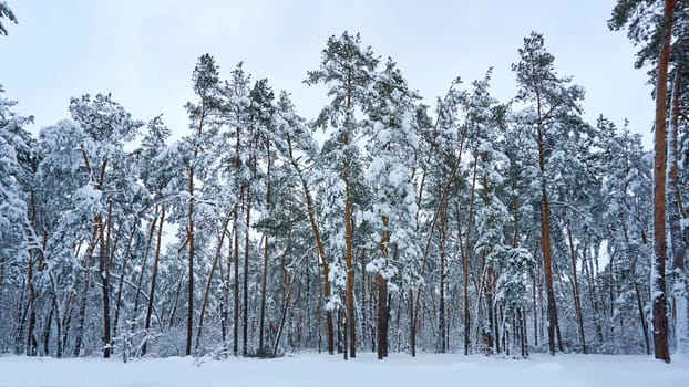 the coldest season of the year, in the northern hemisphere from December to February