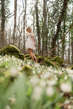 Snowdrops galanthus blonde. A girl in a white dress stands on a meadow with snowdrops in a spring forest.