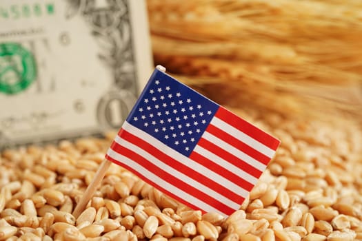 USA America flag on grain wheat, trade export and economy concept.