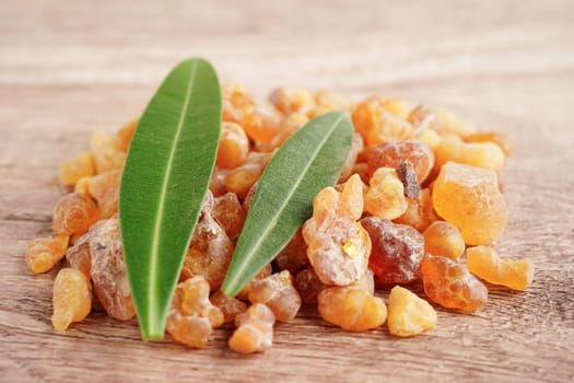 Frankincense or olibanum aromatic resin used in incense and perfumes.