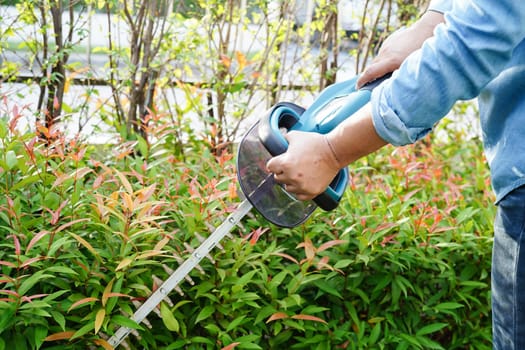 Gardener trimming bush by electric hedge clippers in garden. Hobby at home.