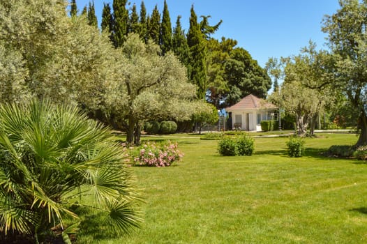 Picturesque view of the Mediterranean landscape with a beautiful lawn, a small farmhouse and olive and cypress trees, sunny summer day.