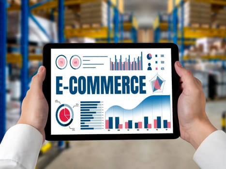 E-commerce data software provide modish dashboard for sale analysis to the online retail business