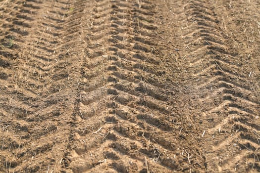 Traces of a tractor after harvesting flax