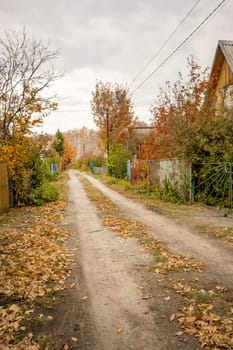 Rural road and fence, along village houses, with fallen autumn leaves and pillars, autumn landscape.