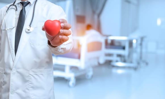 Doctor in lab coat showing red heart on background inside hospital. Medical concept. Medical information search concept. The concept of treating disease. Insurance concept.