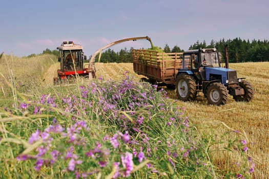 A farmer is mowing a mower in a field on a beautiful sunny summer day. Preparation of fodder for cattle.