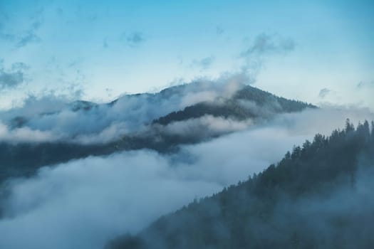 Mist over the mountains. Mountain forest landscape in the morning, Ukraine download photo
