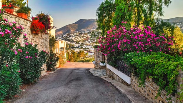 Beautiful view of scenic road with historic traditional houses on street in an old town in Europe in summer. download photo