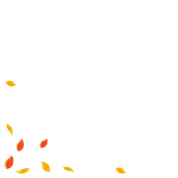 Falling autumn leaves. Red, yellow, green, brown random leaves flying. Corner colorful foliage on magnetic white background. Attractive back to school sale.