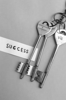 Key to success. Keys to Success in Business. A conceptual background image. Still Life