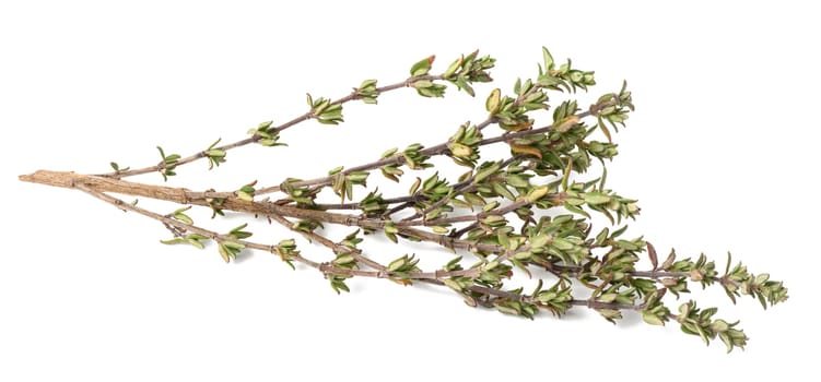 Sprigs of thyme on a white isolated background, top view
