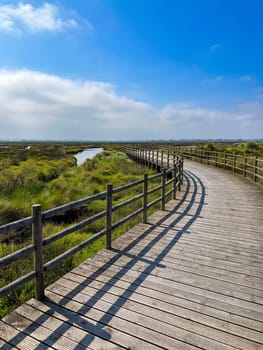 Pathway view of rural landscape near the Aveiro Lagoon at Murtosa, Aveiro, Portugal.
