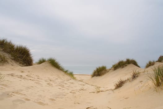 Beach view from the path sand between the dunes at Dutch coastline. Marram grass, Netherlands. The dunes or dyke at Dutch north sea coast