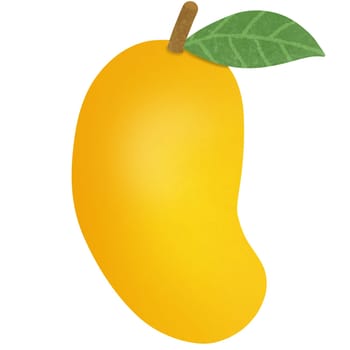 Drawing of mango isolated on white background for usage as an illustration, food, fruits and eating concept