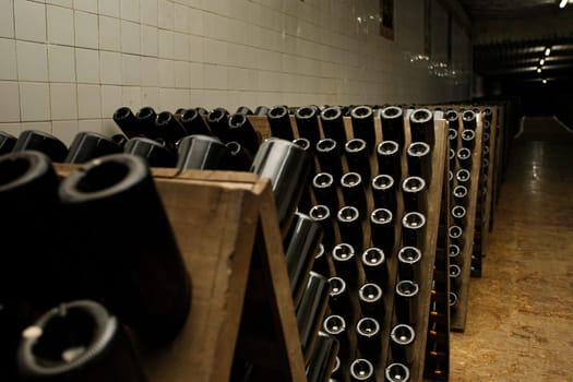 Dusty wine bottles aging in a cellar