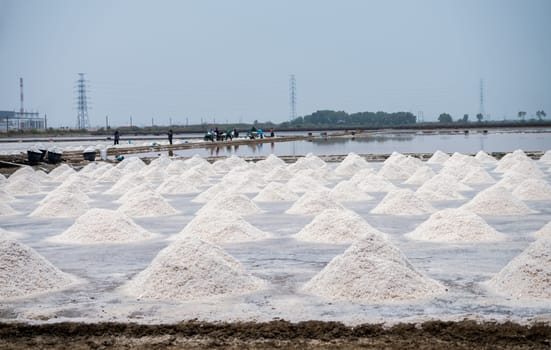 Sea salt farm in Thailand. Brine salt. Raw material of salt industrial. Sodium Chloride. Evaporation and crystallization of sea water. Worker working on a farm. Salt harvesting. Agriculture industry.