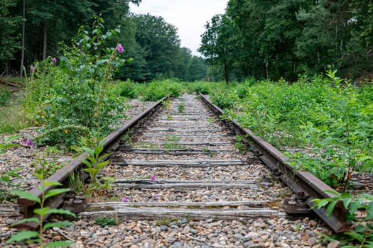 an old overgrown railway line ends in green in the middle of nowhere