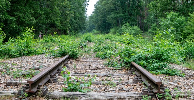 an old overgrown railway line ends in green in the middle of nowhere panorama photo
