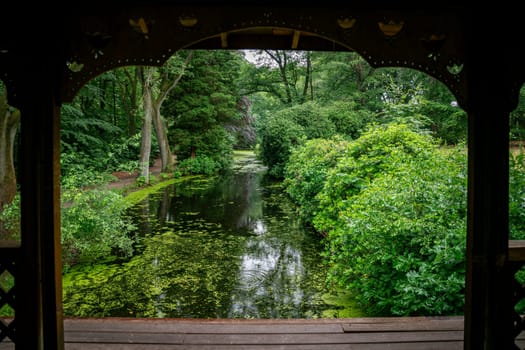 beautiful view of a pond in a park with trees, shrubs and a bench to rest with green plants and ponds with ducks frogs trees in the background also with red leaves