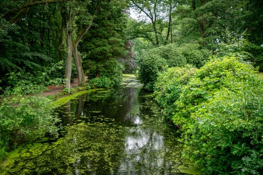 a beautiful park in Vlodrop in the Netherlands with many green trees shrubs plants and ponds with ducks frogs trees in the background also with red leaves