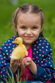 Cute happy little girl with of small duckling in the garden. Little girl holding a duckling in her hands.