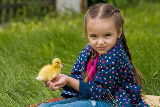 Cute happy little girl with of small duckling in the garden. Little girl holding a duckling in her hands.