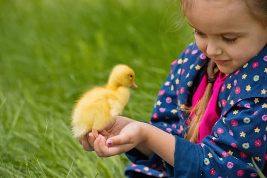 Cute happy little girl with of small duckling in the garden. Little girl holding a duckling in her hands.