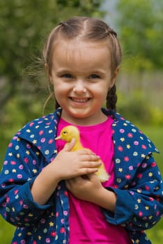 Cute happy little girl with of small duckling in the garden. Little girl holding a duckling in her hands.