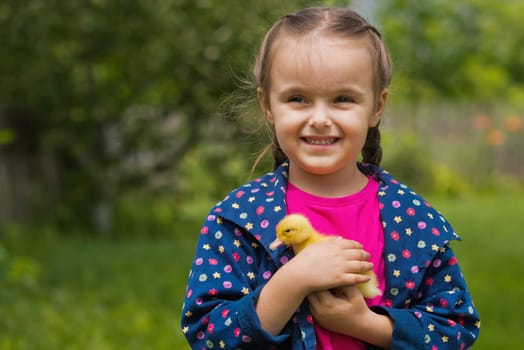 Cute happy little girl with of small duckling in the garden. Little girl holding a duckling in her hands.