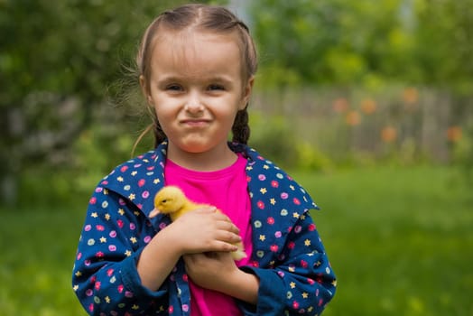 Cute happy little girl with of small duckling in the garden. Little girl holding a duckling in her hands.