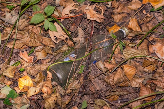 A glass bottle was thrown away in the forest, Odenwald, Germany