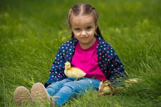 Cute happy little girl with of small ducklings in the garden. Nature background.