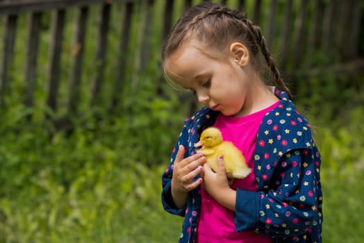 Cute happy little girl with of small duckling in the garden. Little girl holding a duckling in her hands.