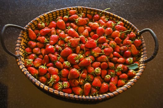 A basket of freshly picked strawberries