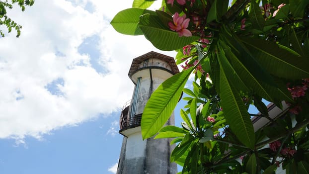 View through the leaves of a tree on the water tower. Large green leaves on branches and pink flowers. An old tower with plastic pipes. A rusty staircase. White clouds in a blue sky. Plumeria Tree