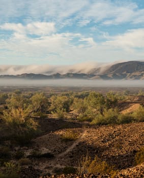 Senator Wash Mist Yuma BLM Arizona