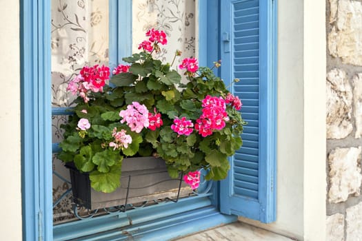 Beautiful Pink geranium flowers on a windowsill in Nice, France