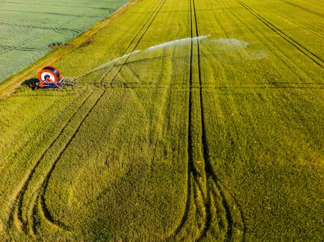 Aerial view of sprinkler system on a field with grain in summer, Germany