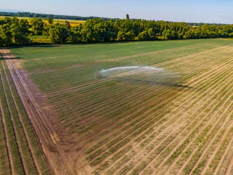 Aerial view of sprinkler irrigation system on a field in hot summer, Germany