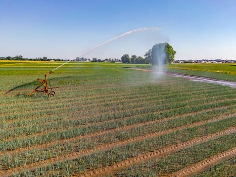 Field irrigation system with sprinkler and mobile sprinkler in agriculture, climate crisis in Germany
