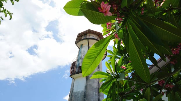 View through the leaves of a tree on the water tower. Large green leaves on branches and pink flowers. An old tower with plastic pipes. A rusty staircase. White clouds in a blue sky. Plumeria Tree