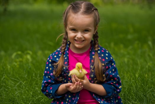 Little girl holding small duckling in the garden. Yellow duckling in her hands.