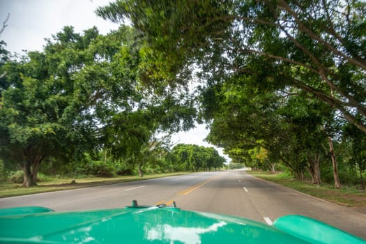 View from the inside of classic green cuban car with green trees and empty local road