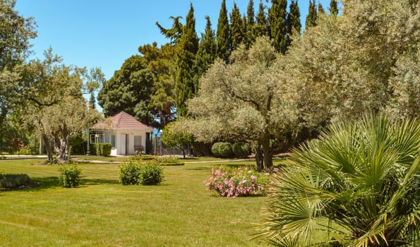 Picturesque view of the Mediterranean landscape with a beautiful lawn, a small farmhouse and olive and cypress trees, sunny summer day.
