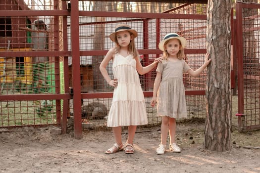 Two cute preteen girls in light dresses and wicker hats standing near iron fence of cages with domestic animals and birds in country estate on summer day