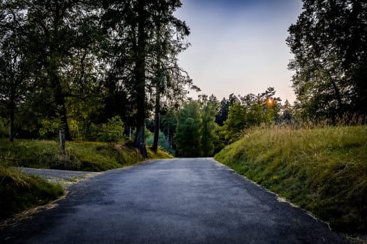 A path on the edge of the forest near Winterthur in Switzerland at sunset. High quality photo